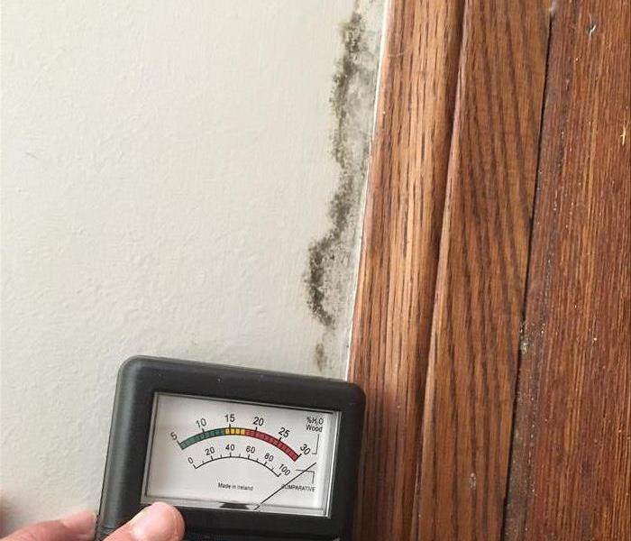 Moisture Reader against wooden door frame and mold on wall